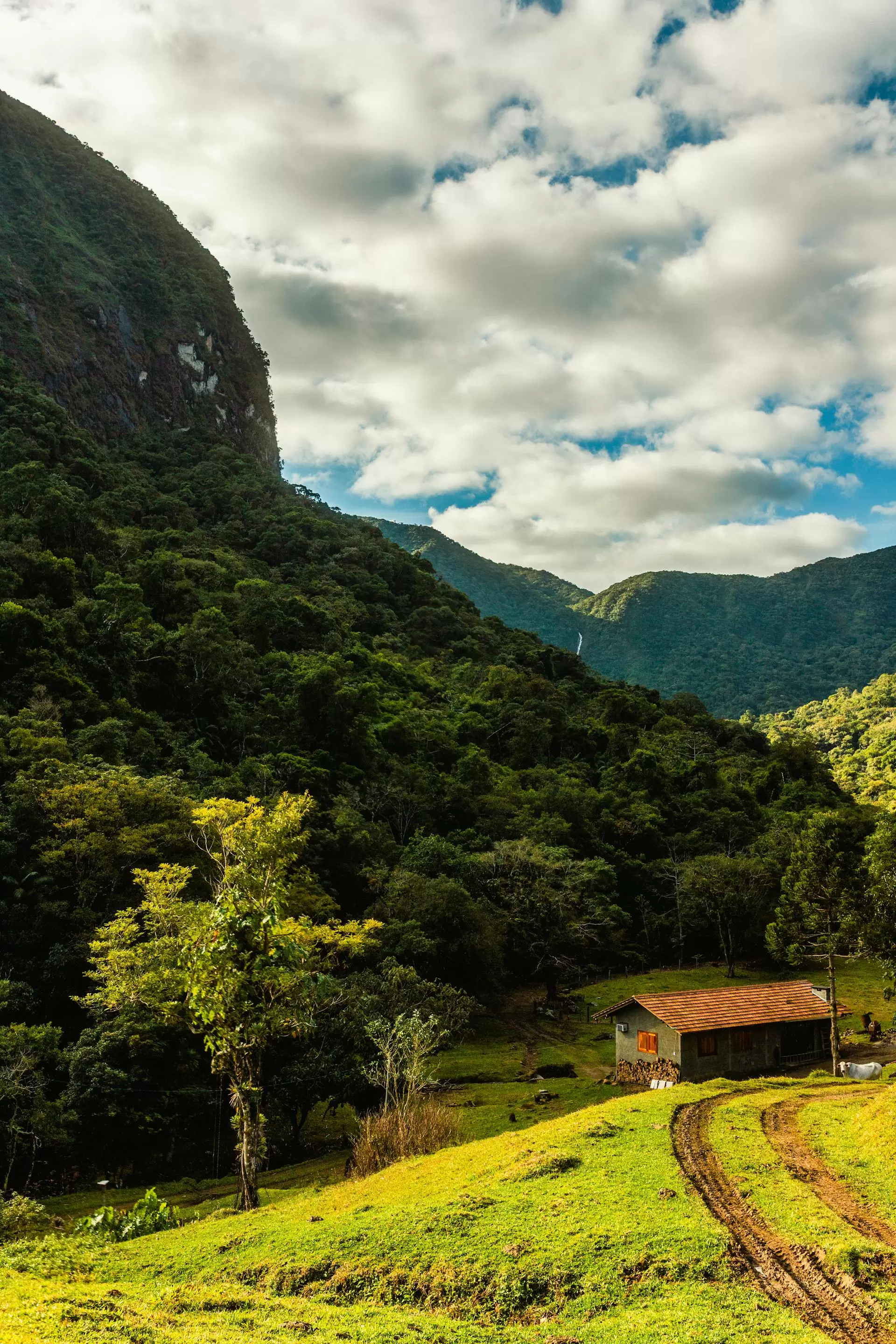 Sri Lanka Faszination – Entdeckungsreise mit kulturellem Nord-Abstecher